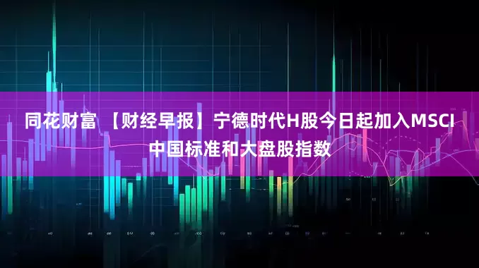 同花财富 【财经早报】宁德时代H股今日起加入MSCI中国标准和大盘股指数