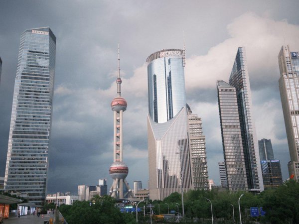 金赢中心 活力中国调研行｜前七个月新增合同外资项目156个，陆家嘴如何招引新增外资？