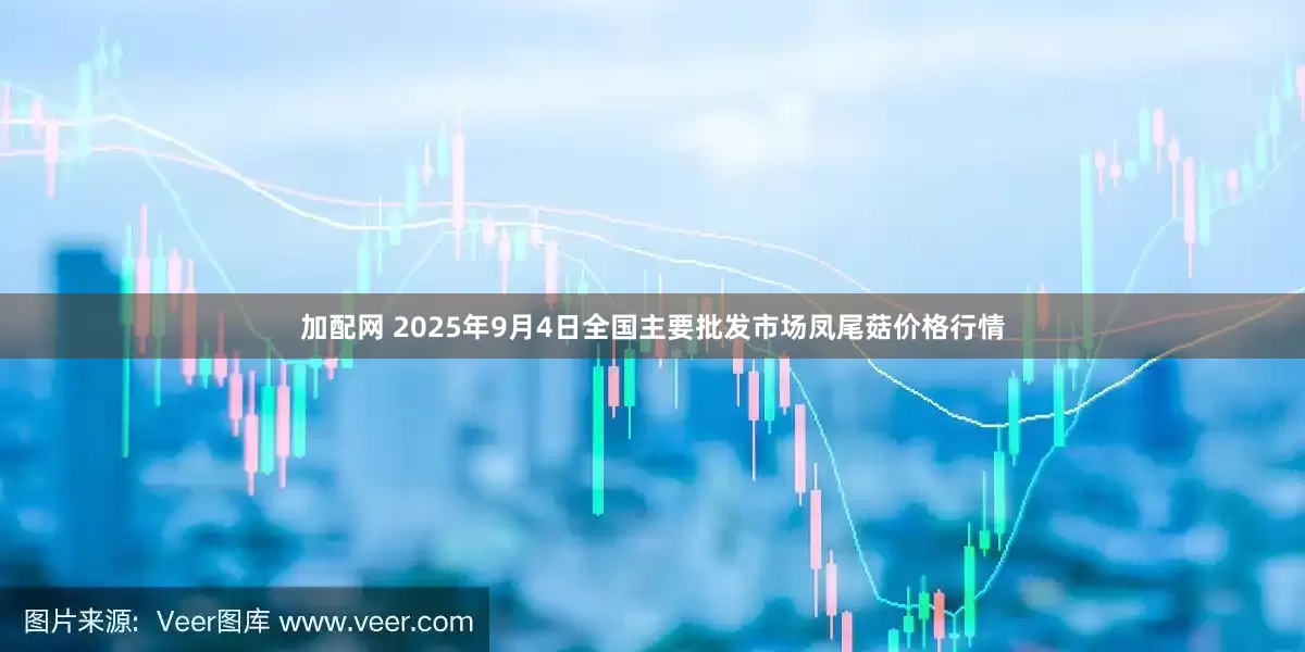 加配网 2025年9月4日全国主要批发市场凤尾菇价格行情