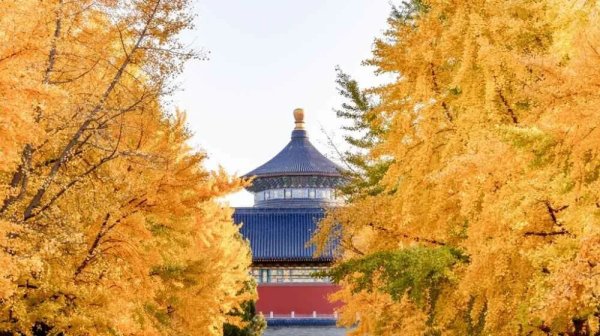 瑶鸿配资 赵款款：北京的秋冬之交