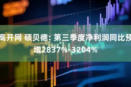 高开网 硕贝德: 第三季度净利润同比预增2837%-3204%