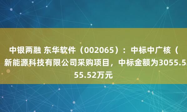 中银两融 东华软件（002065）：中标中广核（北京）新能源科技有限公司采购项目，中标金额为3055.52万元